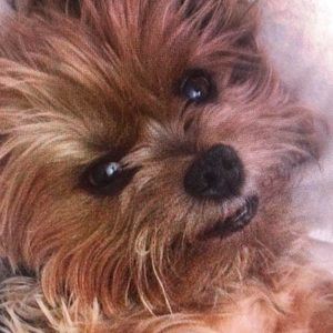 Meet your Posher, Debbie